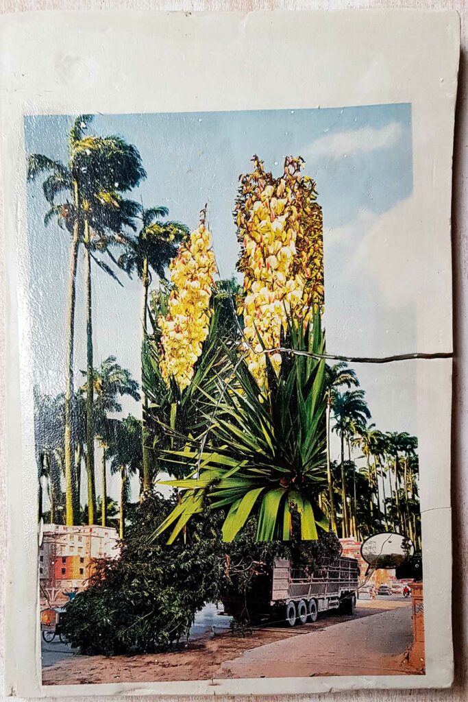 a-quoi-pensent-les-choses-12