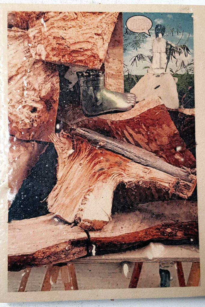 a-quoi-pensent-les-choses-14