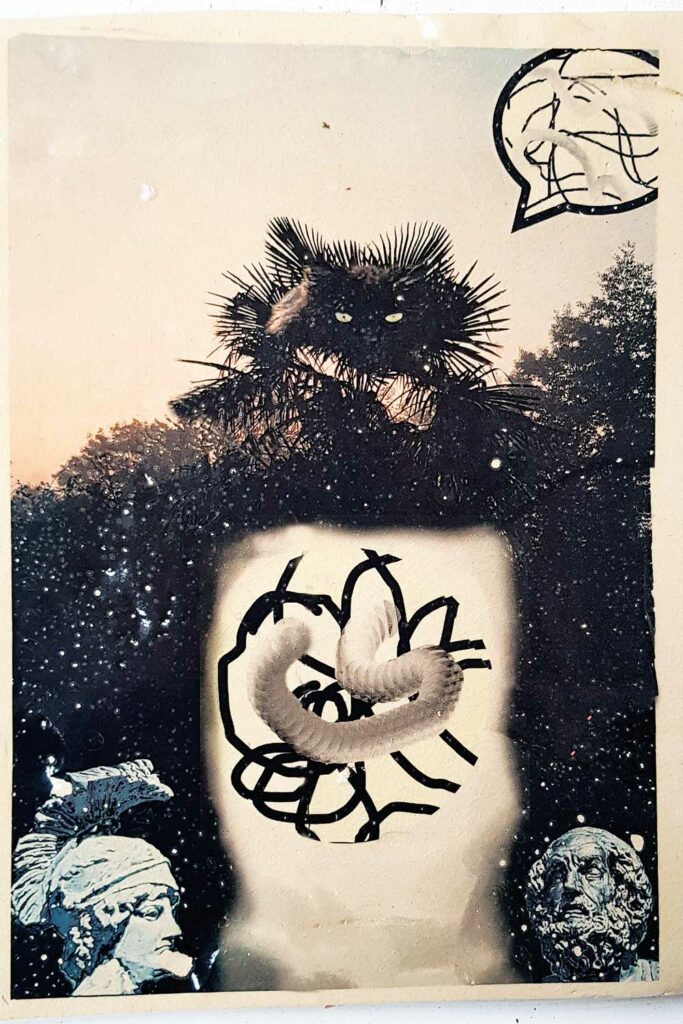 a-quoi-pensent-les-choses-5