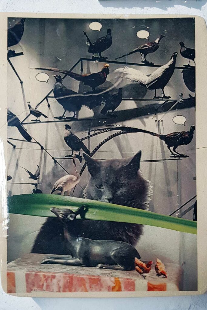 a-quoi-pensent-les-choses-6