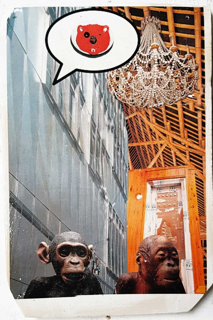 a-quoi-pensent-les-choses-13