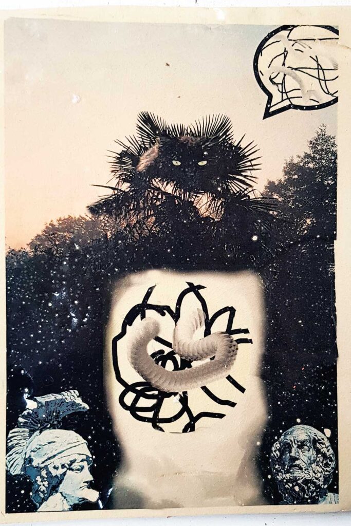 a-quoi-pensent-les-choses-5