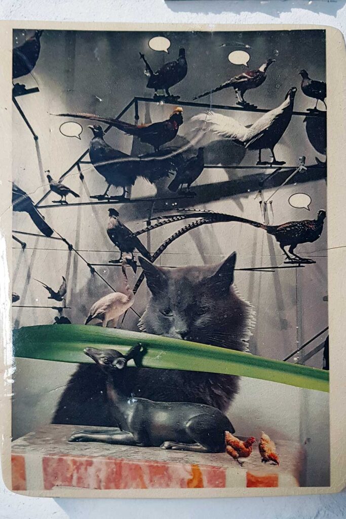 a-quoi-pensent-les-choses-6