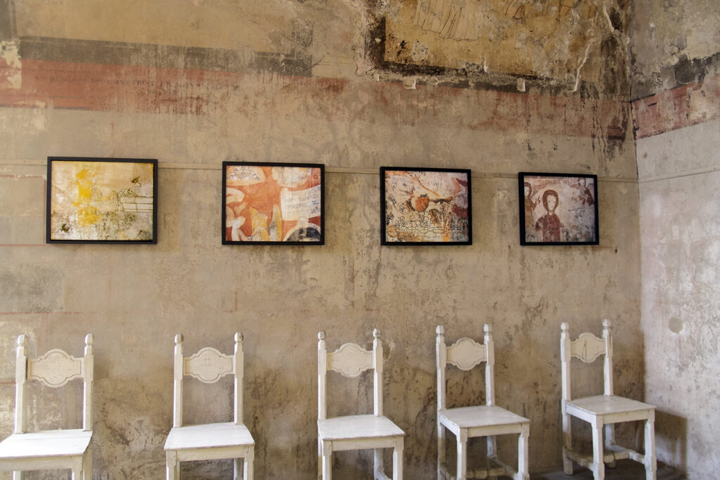 farfelus-exotiques-7